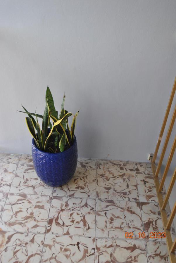 Sleeps 8, Havana Nights In Miami Apartment Екстериор снимка